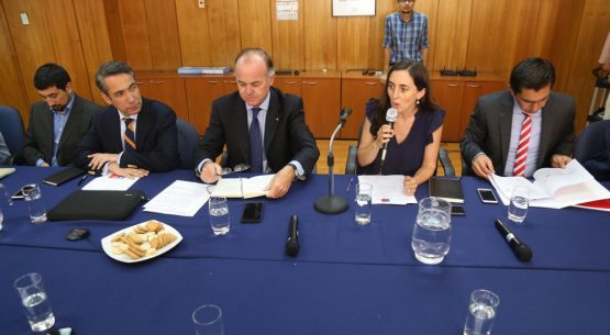 Ministro de Agricultura encabezó una nueva reunión de la Comisión Nacional de Apicultura, coordinada por la directora de Odepa
