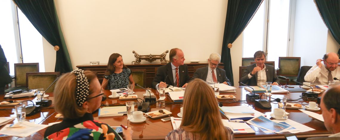 Directora de Odepa participó de la presentación de la Política Nacional de Desarrollo Rural ante el Comité de Ministros de Ciudad, Vivienda y Territorio
