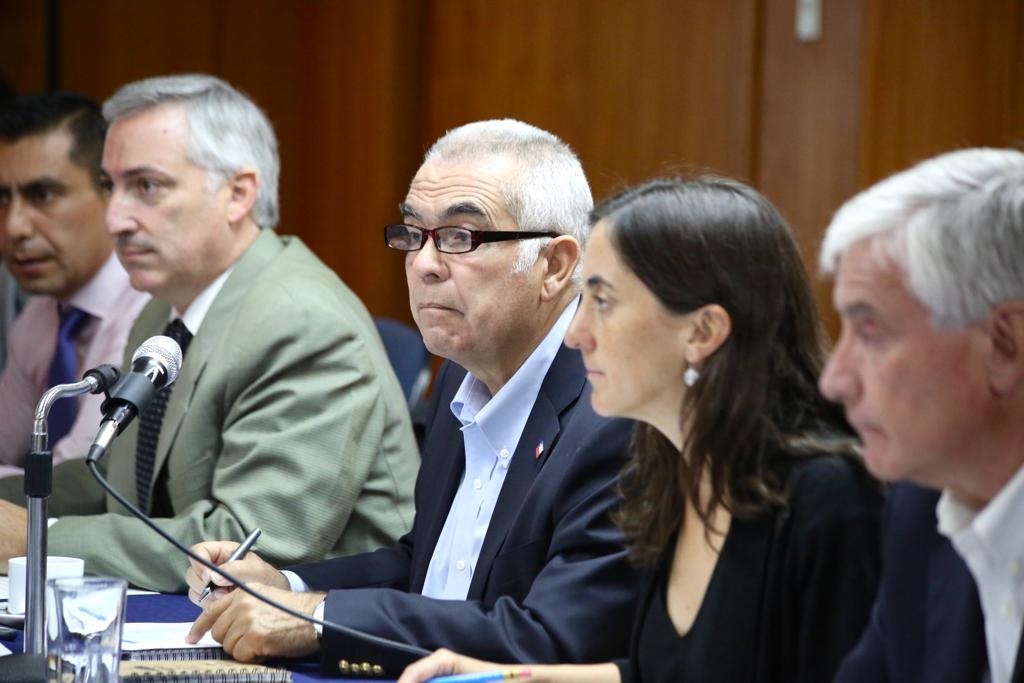 Foto directora Comisión del Maíz