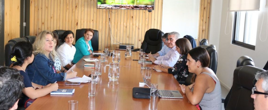 Se reunió Grupo de Sostenibilidad del Consejo Exportador Agroalimentario