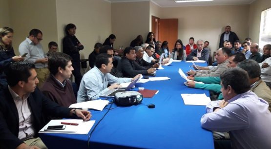 Profesional de Odepa dictó charla en la Mesa Campesina del Arroz en Parral