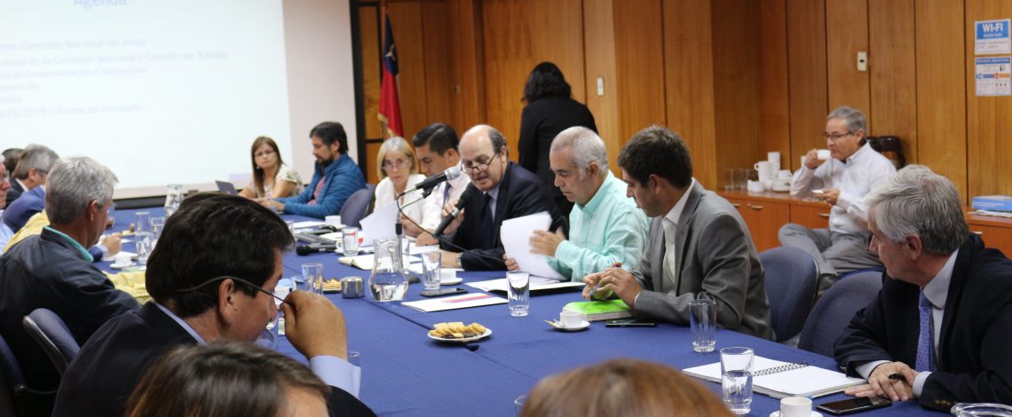 Se realizó una reunión de la Comisión Nacional del Arroz