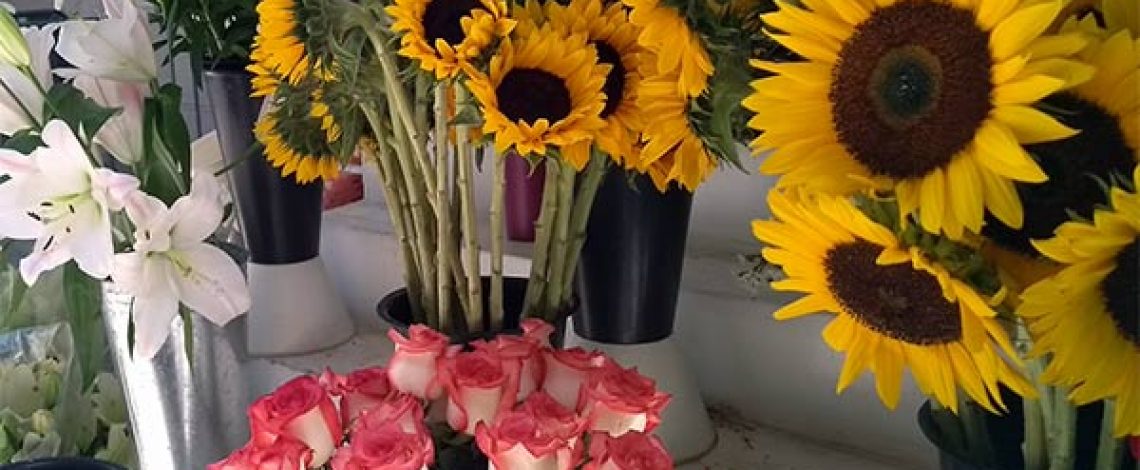 Exportaciones de flores de corte crecieron 9,2% en enero-febrero de 2019