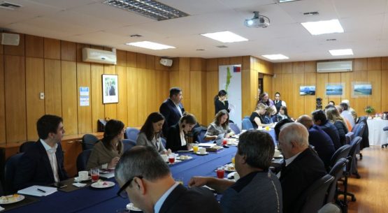 Directora de Odepa participó en reunión extraordinaria del Consejo de la Sociedad Civil