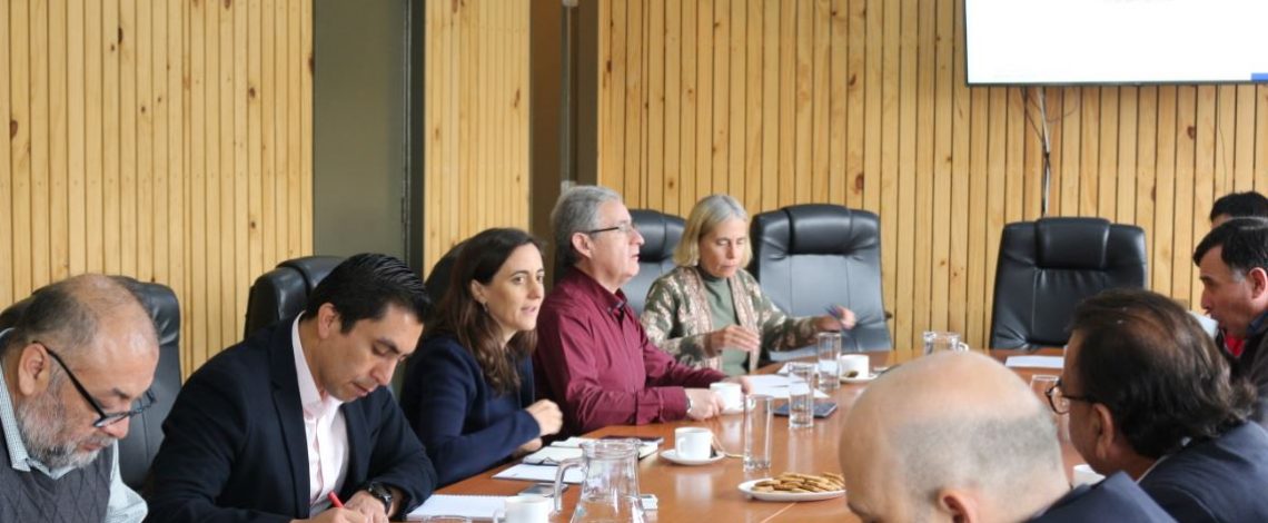 Liderada por la directora de Odepa se reunió la Mesa de Trigo Candeal