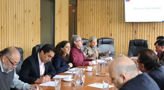 Liderada por la directora de Odepa se reunió la Mesa de Trigo Candeal