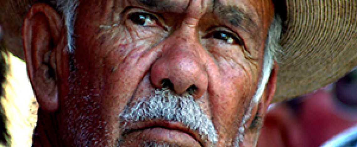 Caracterización de ingresos de los trabajadores agrícolas