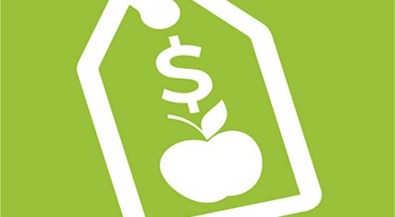 “¿A cuánto?” la nueva aplicación que lanza Odepa del Ministerio de Agricultura para monitorear los precios de frutas y verduras del país