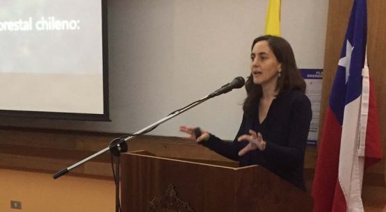 Directora de Odepa expone en seminario sobre el Cambio Climático