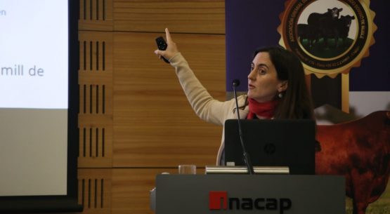 Directora de Odepa expuso en seminario internacional de ganadería en Chillán