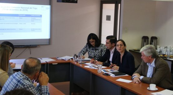 Liderada por la directora de Odepa se reunió la Comisión Nacional del Trigo