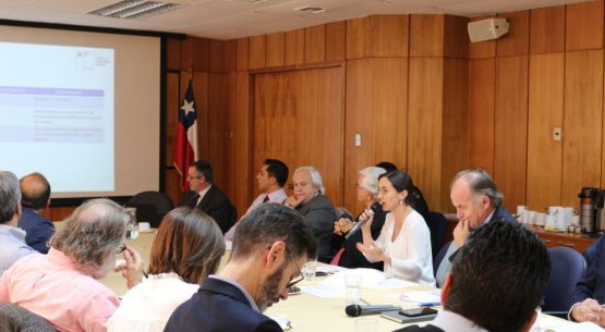 Se reunió la Comisión Nacional de la Fruta Fresca, liderada por el ministro Walker y coordinada por la directora de Odepa