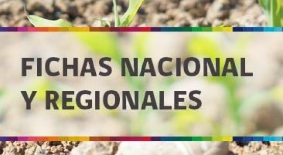 Panorama estadístico silvoagropecuario nacional y regional