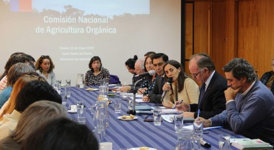 Liderada por el ministro Walker y coordinada por la directora de Odepa se reunió la Comisión Nacional de Agricultura Orgánica