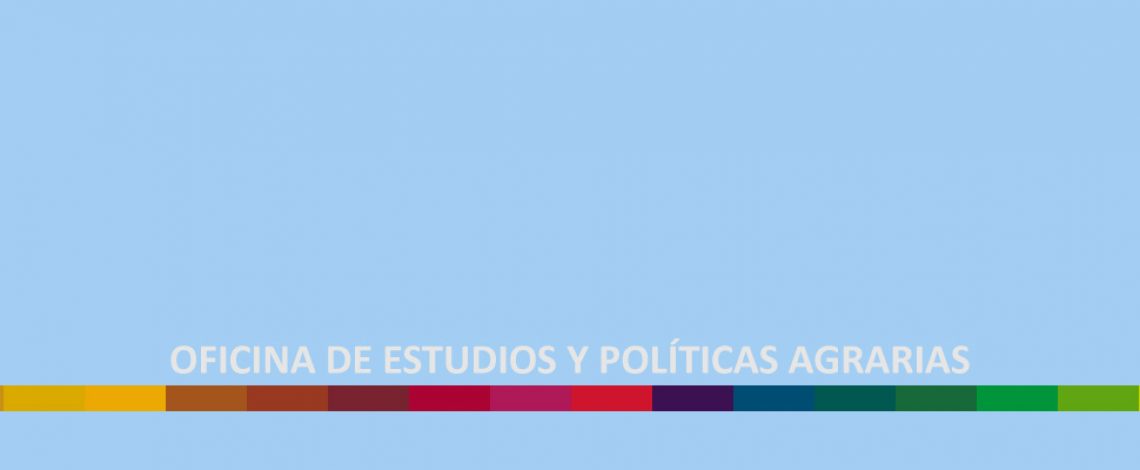 Cuenta Pública de Odepa 2018