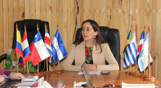 Directora de Odepa inaugura el V Diálogo Latinoamericano de Políticas Sobre Cuestiones Agropecuarias en Cambio Climático
