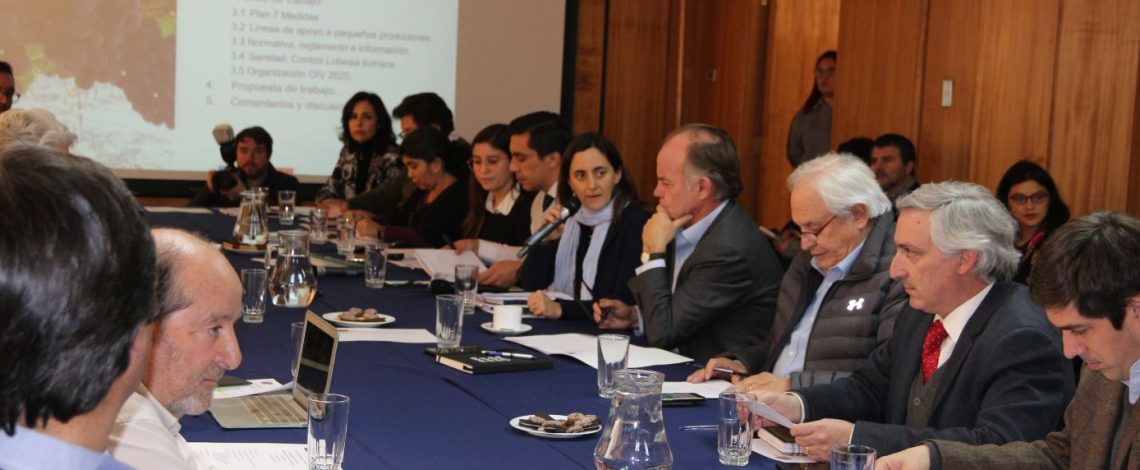 Se reunió la Comisión Nacional de la Vitivinicultura