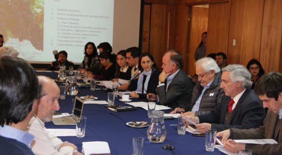 Se reunió la Comisión Nacional de la Vitivinicultura