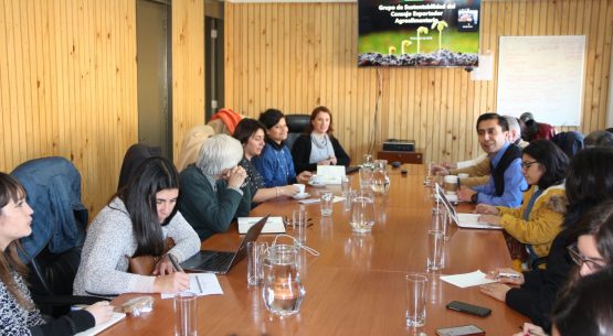 Liderado por Odepa, se reunió el Grupo de Sustentabilidad del Consejo Exportador Agroalimentario