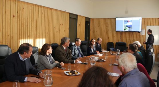 Ministro de Agricultura y directora de Odepa se reunieron con directiva de APIMONDIA