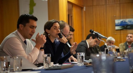 Se reunió la Comisión Nacional para la Ganadería de Carne Bovina