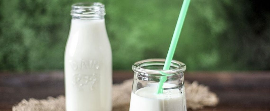 Estados Unidos es el principal país de destino del yogur chileno en enero-agosto de 2019