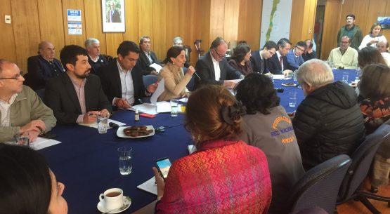 Hoy se reunió la Comisión Nacional de Apicultura