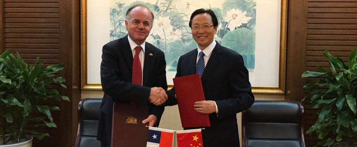 Chile Week 2019: Ministro Walker anuncia que cítricos chilenos llegarán a China en noviembre