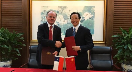 Chile Week 2019: Ministro Walker anuncia que cítricos chilenos llegarán a China en noviembre