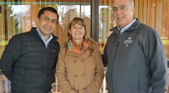 Jefe del departamento de Política Sectorial y Análisis de Mercado expuso en Mesa Regional del Vino de Ñuble