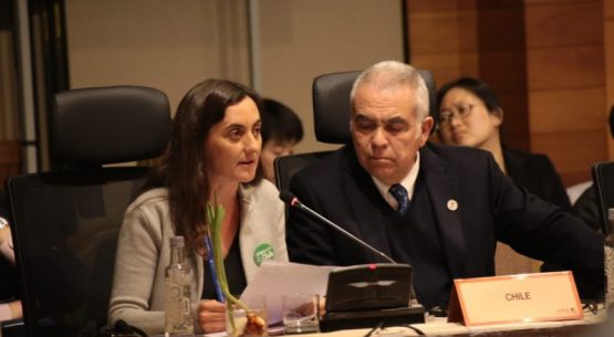 Directora de Odepa participa de la «5ta Reunión Ministerial de Seguridad Alimentaria» de APEC