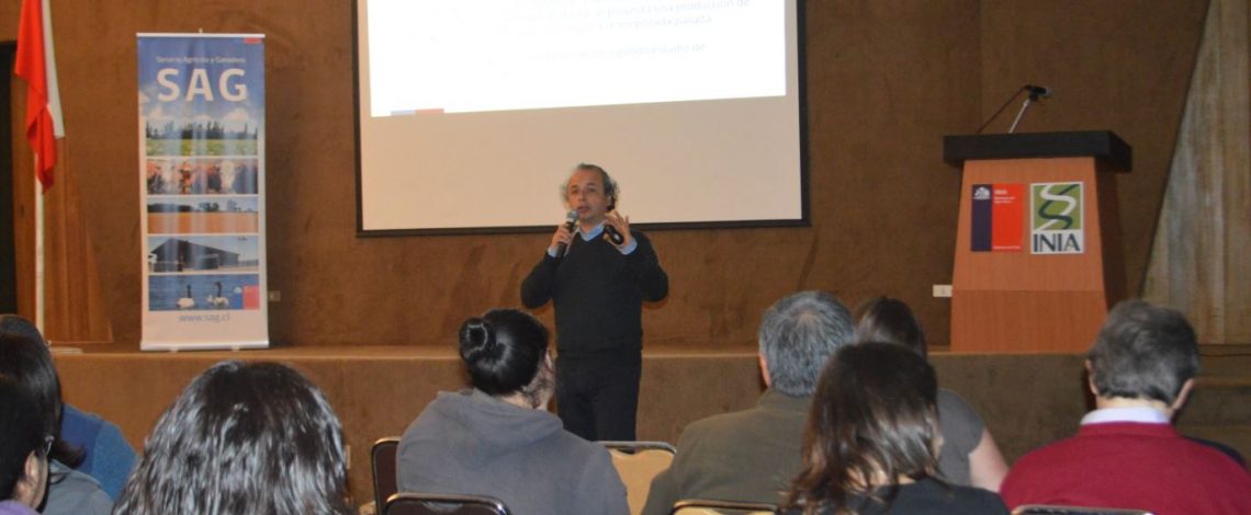 Profesional de Odepa expuso en seminario sobre la papa