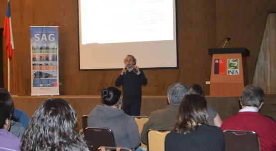 Profesional de Odepa expuso en seminario sobre la papa