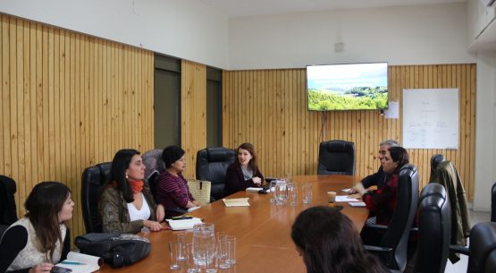 Se reunió el Grupo de Sustentabilidad del Consejo Exportador Agroalimentario