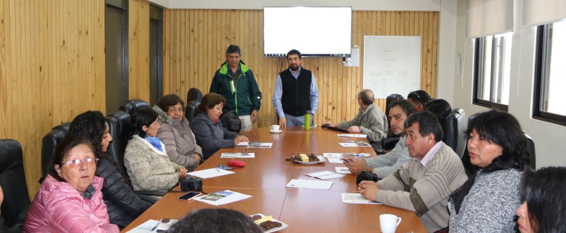 Profesional de Odepa expuso sobre apicultura a mujeres rurales de la Región de Antofagasta