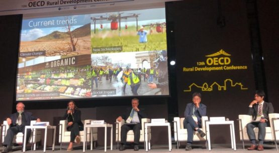 Directora de Odepa presenta estrategia de desarrollo rural ante países de la OCDE en Corea
