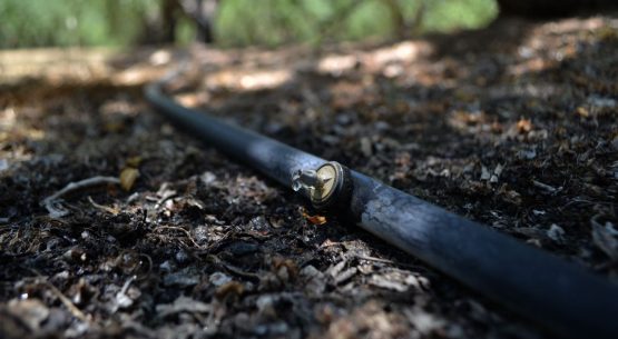 El riego por goteo es el sistema más utilizado por los productores de frutas en las siete regiones ubicadas en el sur del territorio