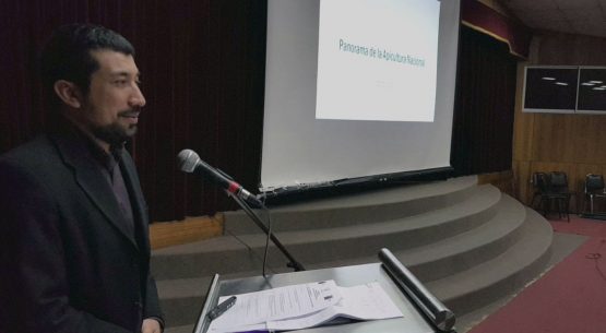 Profesional de Odepa dicta charla en Seminario Apícola