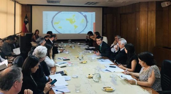 Se reunió el Consejo Exportador Agroalimentario para analizar los avances sectoriales