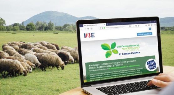 Sitio web del próximo Censo Agropecuario y Forestal 2020
