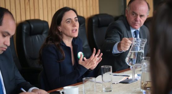 Directora de Odepa y ministro de Agricultura se reúnen con alcaldes rurales y organizaciones de la sociedad civil