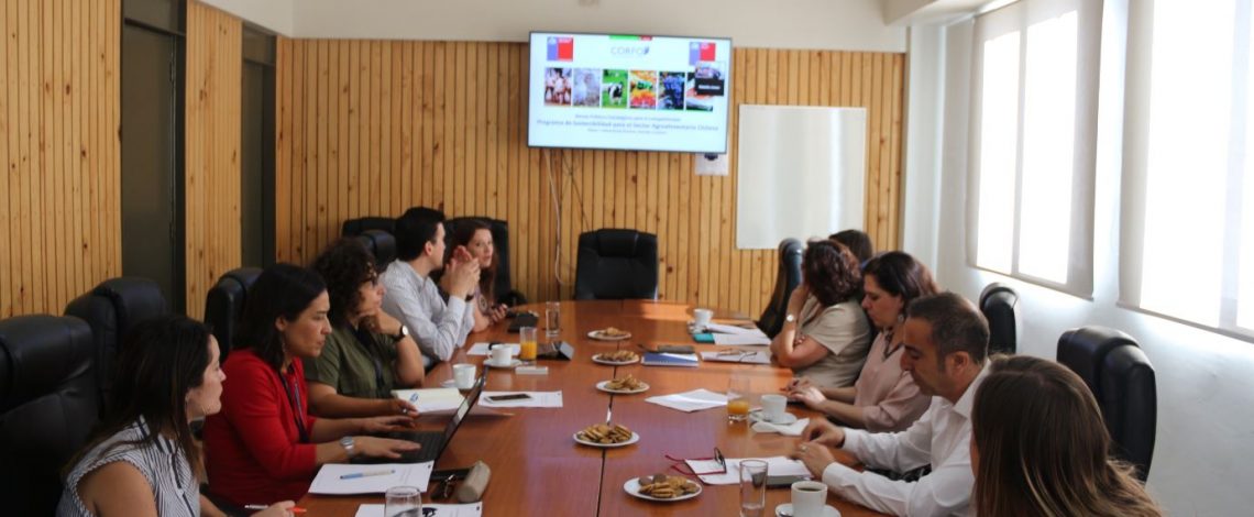 Se reunió el comité asesor estratégico del Programa de Sustentabilidad para el sector Agroalimentario Chileno