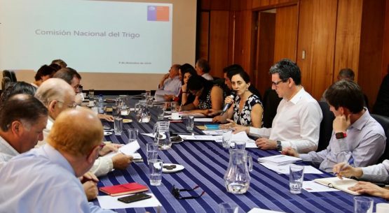 Se realizó una reunión de la Comisión Nacional del Trigo