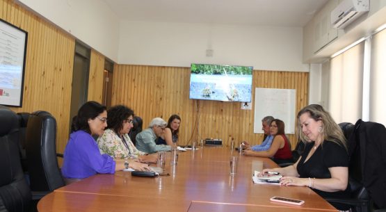 Se reunió el Grupo de Sustentabilidad del Consejo Exportador Agroalimentario