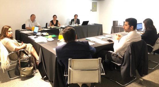 Directora de Odepa participa en reunión de la Red de Coordinación de Políticas Agropecuarias (REDPA)