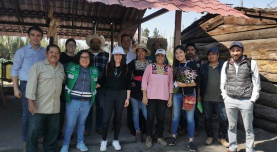 Departamento de Desarrollo Rural visita México para intercambiar experiencias y conocer trabajo en terreno