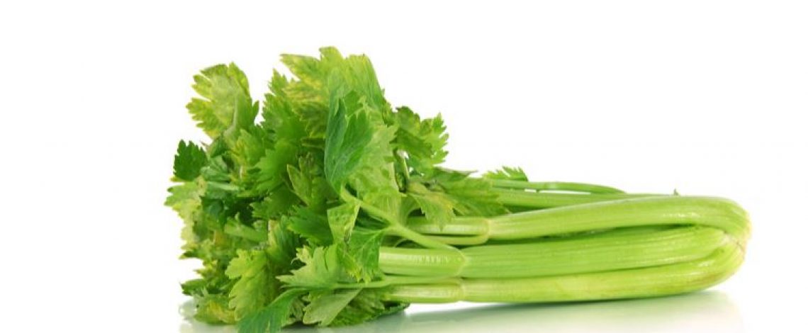 Ficha de costo del apio