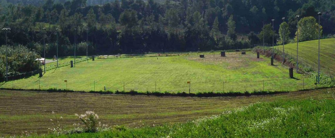 Invitación al seminario «Biofertilizantes y suelos vivos»