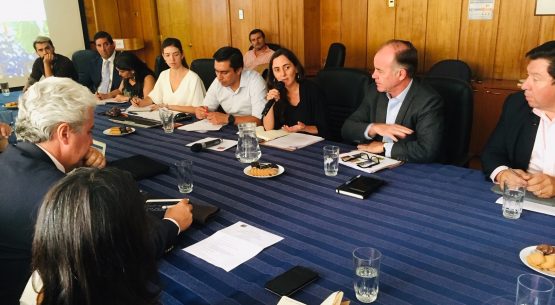 Se reunió la Comisión Nacional de la Vitivinicultura