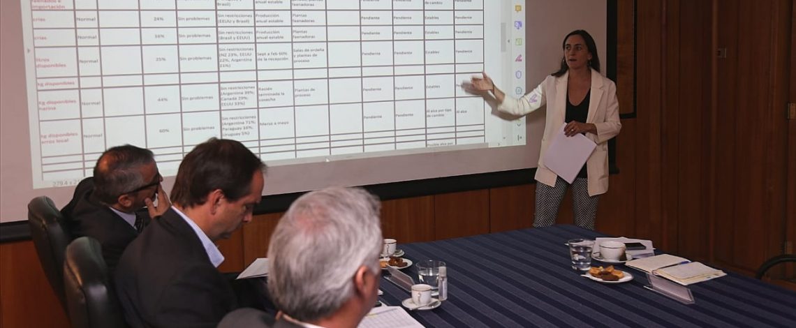 Directora de Odepa expuso en comité de abastecimiento, en el contexto del coronavirus